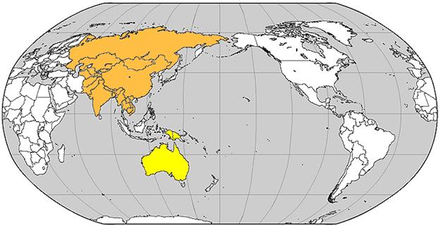 Pacific-centered world map