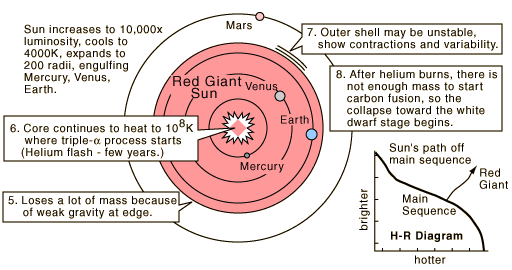 The Sun as a Red Giant Star